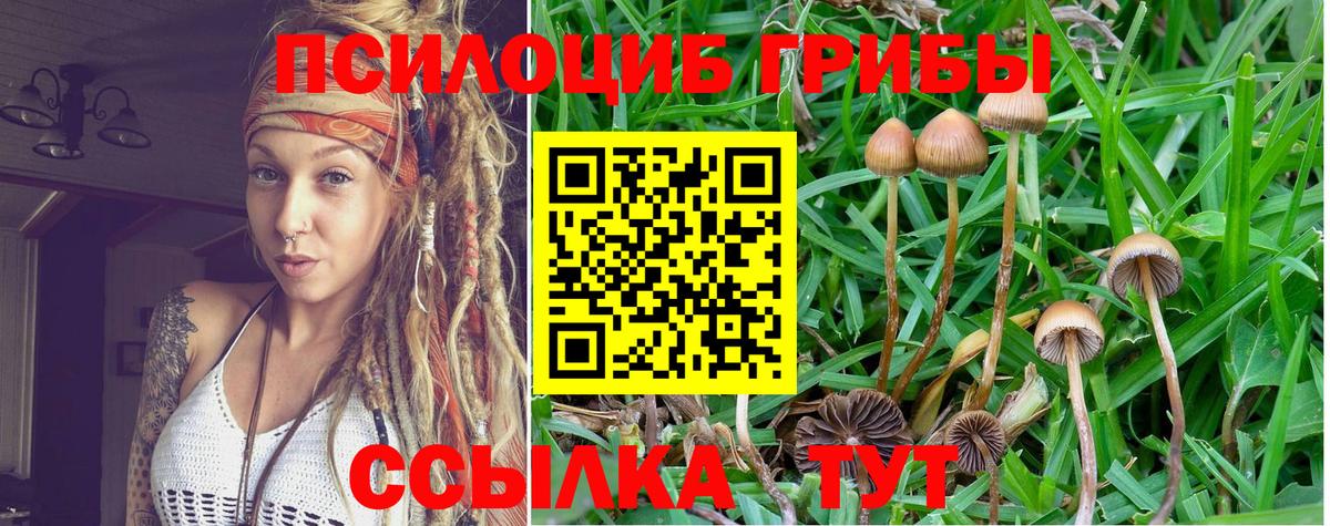 Серов  Псилоцибиновые грибы MAGIC MUSHROOMS  Вход с VPN  Псилоцибиновые грибы GOLDEN TEACHER 