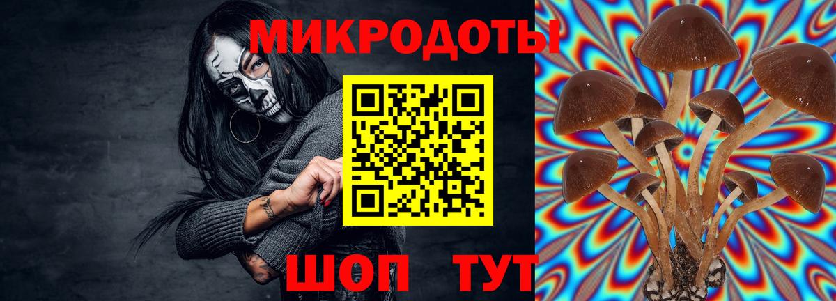 Псилоцибиновые грибы ЛСД Серов